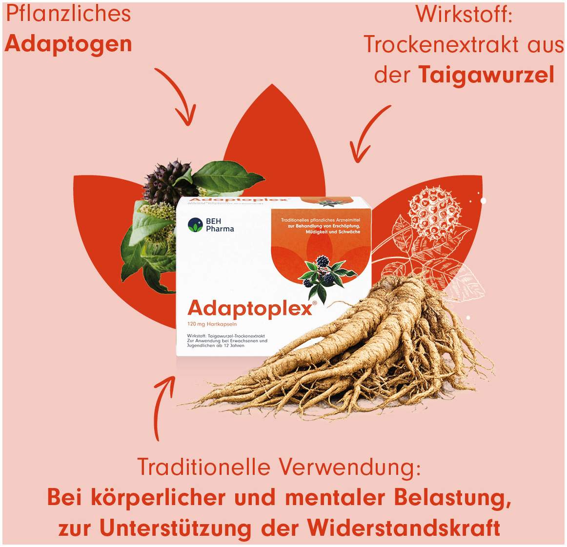 Adaptoplex 120 mg 30 Hartkapseln