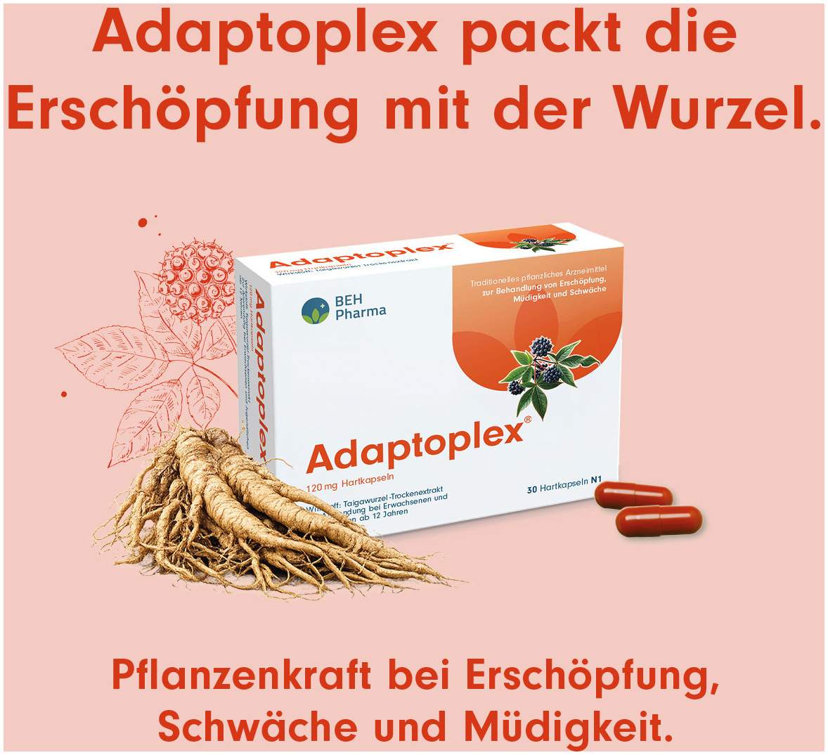 Adaptoplex 120 mg 30 Hartkapseln
