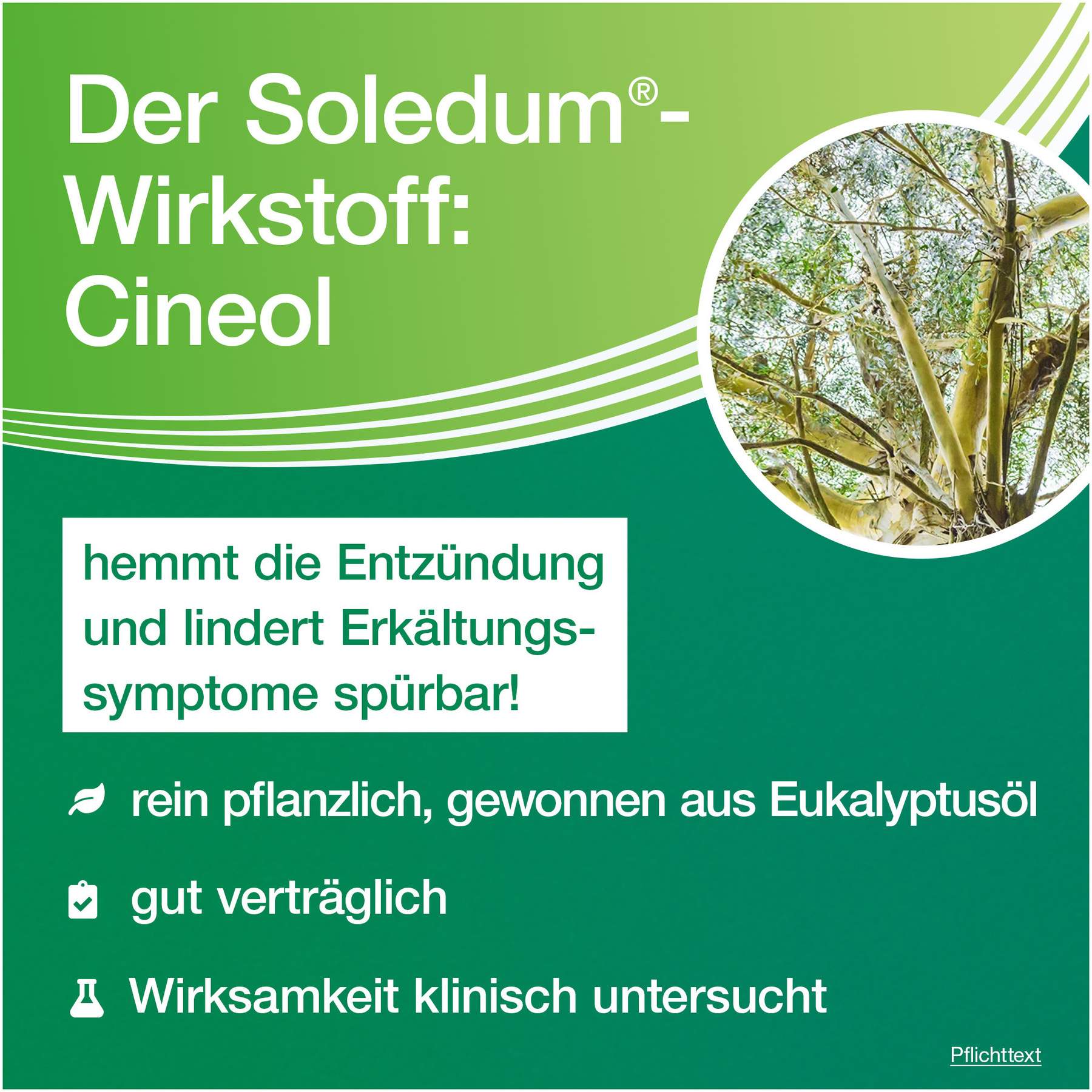 Soledum Balsam flüssig 20 ml