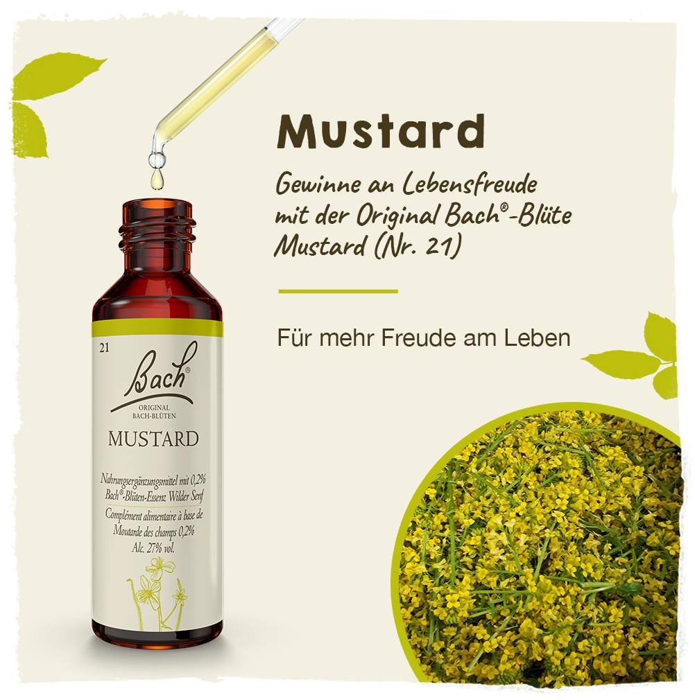 Bachblüten Mustard 20 ml Tropfen