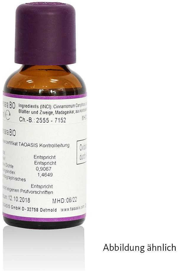 Eukalyptus 30 ml Öl