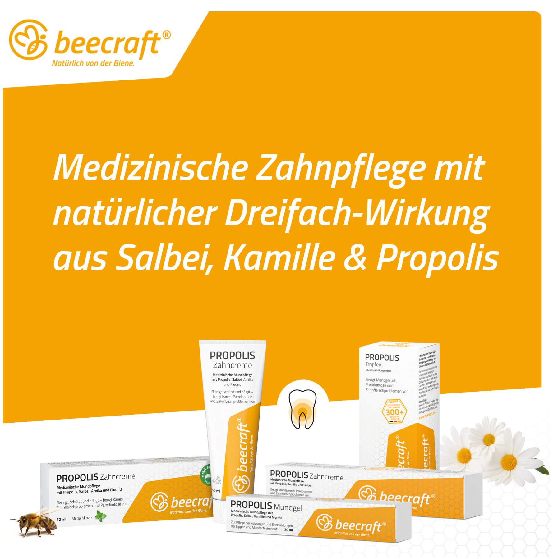 Beecraft Propolis Zahncreme Salbei Arnika Fluorid 50 ml
