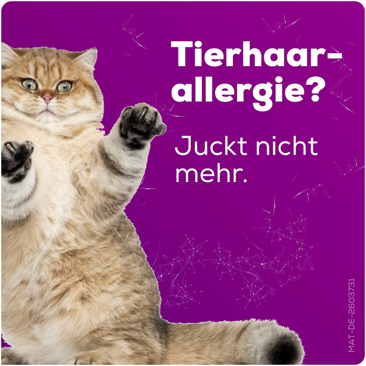 Allegra Allergietabletten 20 mg 100 Tabletten Dose