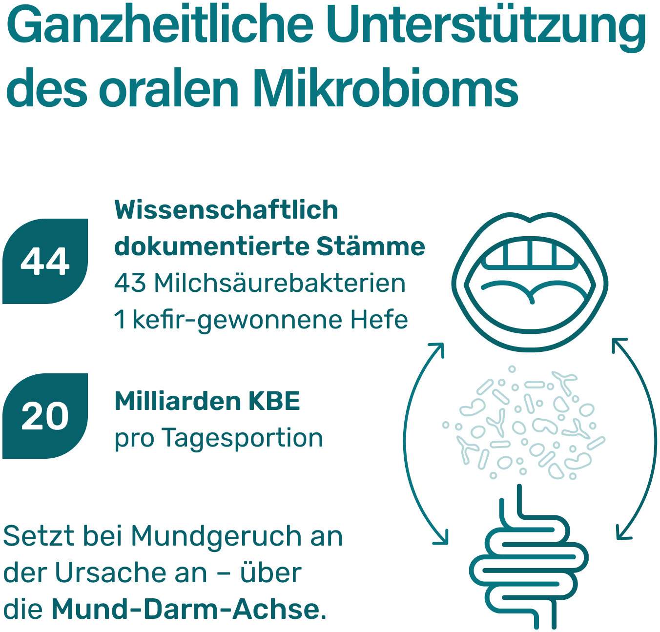 Nupure probadent MAX N44 und Vitamin D3 28 Beutel