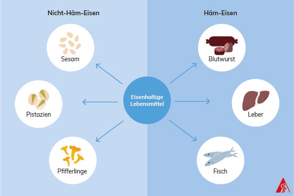 Häm-Eisen findet man in tierischen Lebensmitteln, wie Leber, Blutwurst und Fisch, wohingehend Nicht-Häm-Eisen in pflanzlichen Lebensmitteln, wie etwa Sesam, Pistazien und Pfifferlingen enthalten ist.