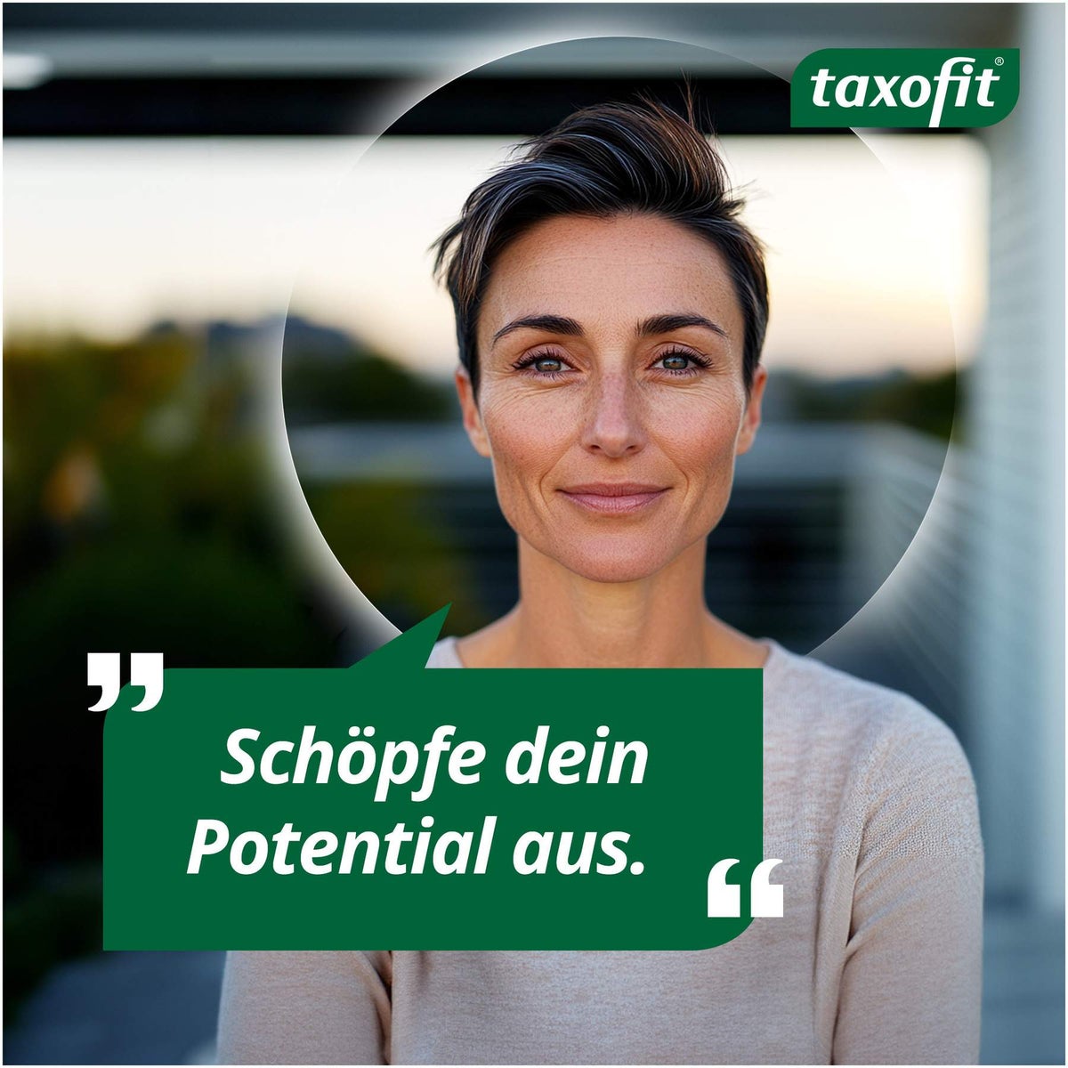 taxofit Eisen + Vitamin C Direkt Granulat 20 Sticks