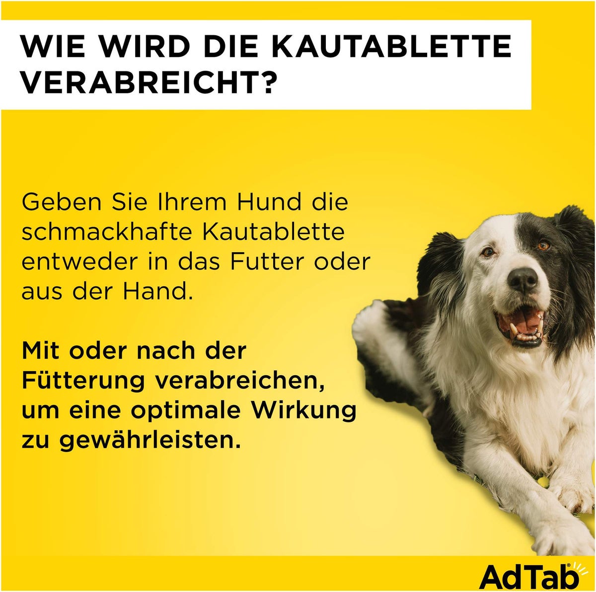 AdTab 450 mg für große Hunde (11-22 kg) 3 Kautabletten