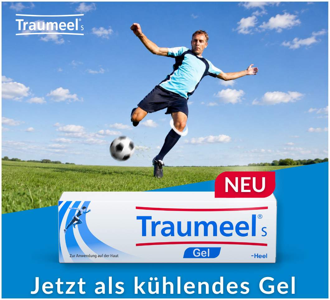 Traumeel S Gel 100g
