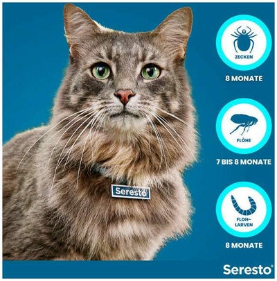 Seresto Halsband für Katzen 1 Stück