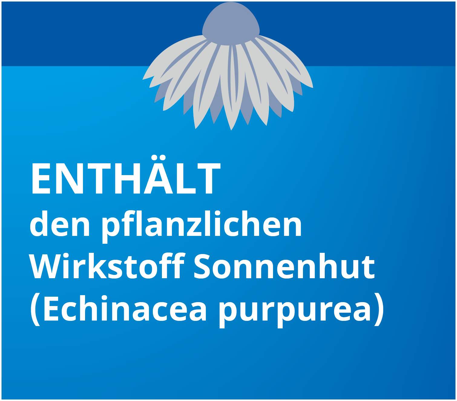 Echinacea Stada Classic 100 ml Tropfen