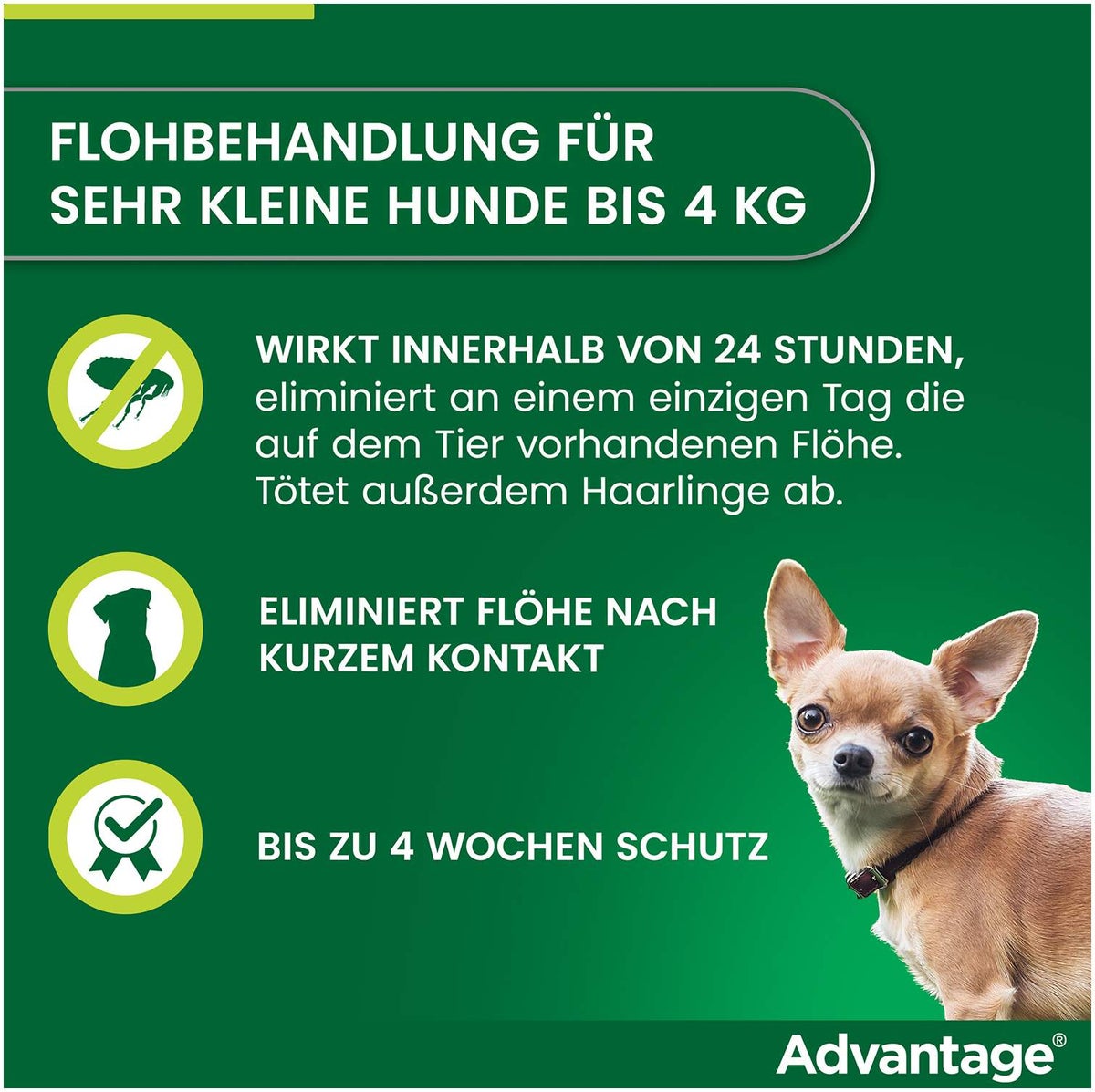 Advantage 40 Lösung für Hunde bis 4 kg 4 Einzeldosispipetten