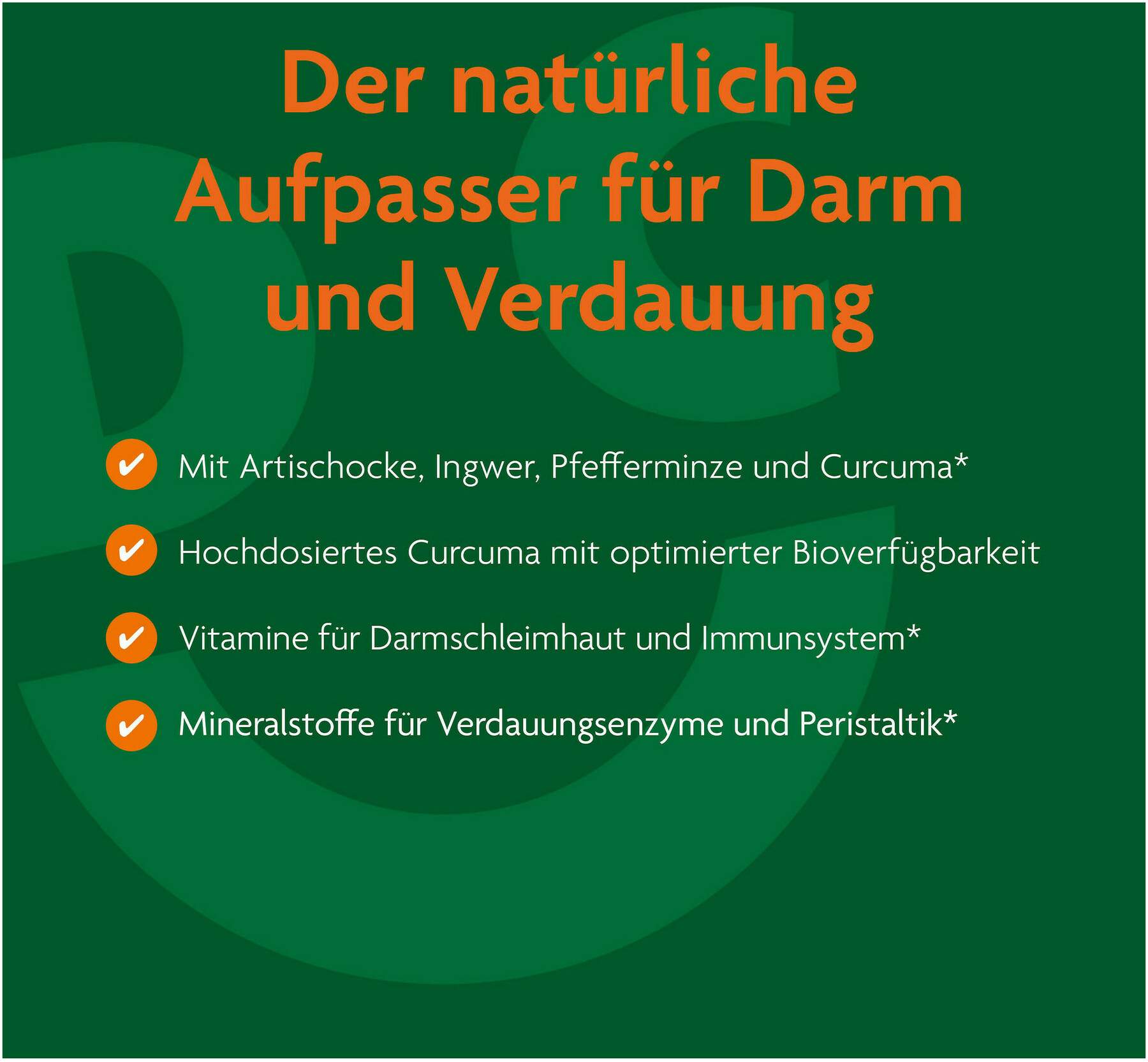 Salus Darm-Care Curcuma Bioaktiv Tonikum 250 ml