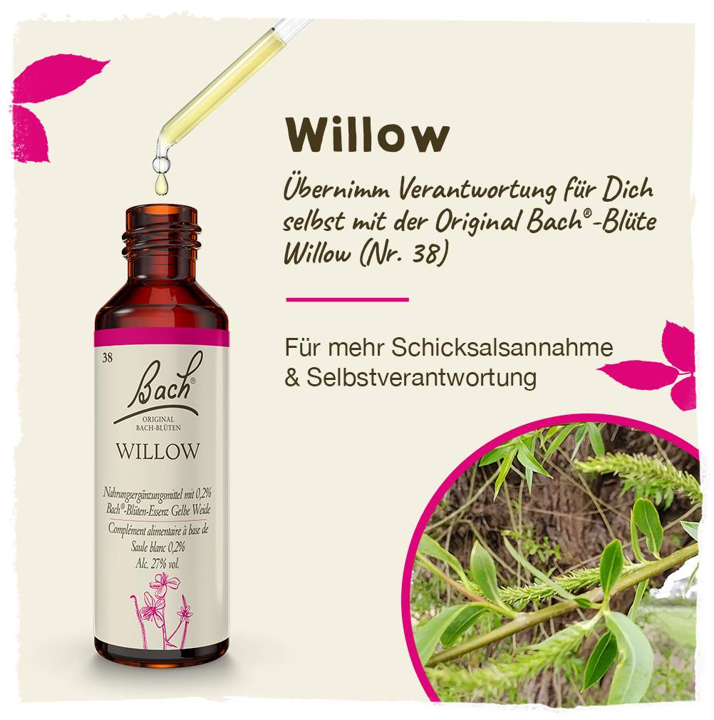 Bachblüten Willow 20 ml Tropfen