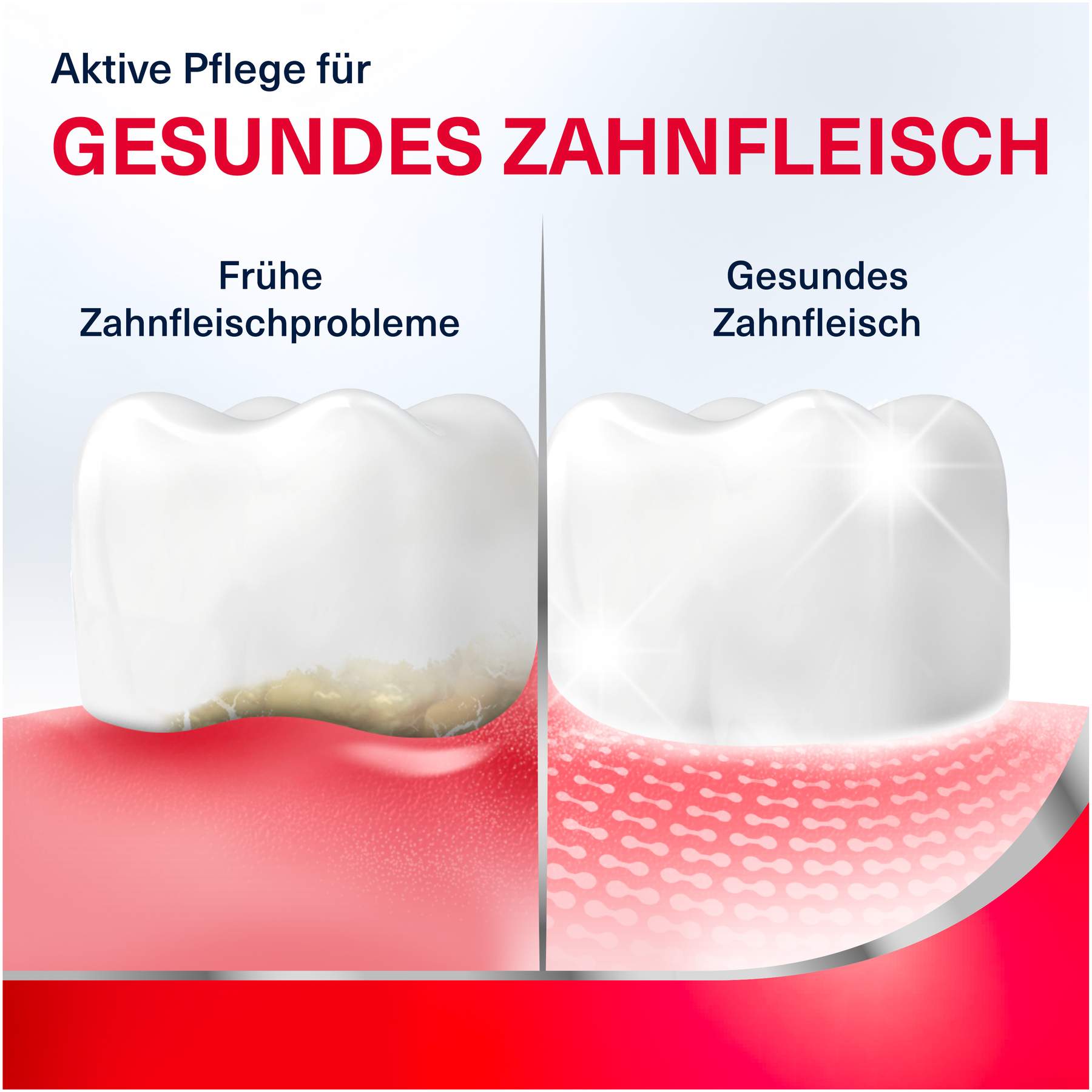 Parodontax tägl. Zahnfleischpflege Revitalise 300 ml Spüllösung