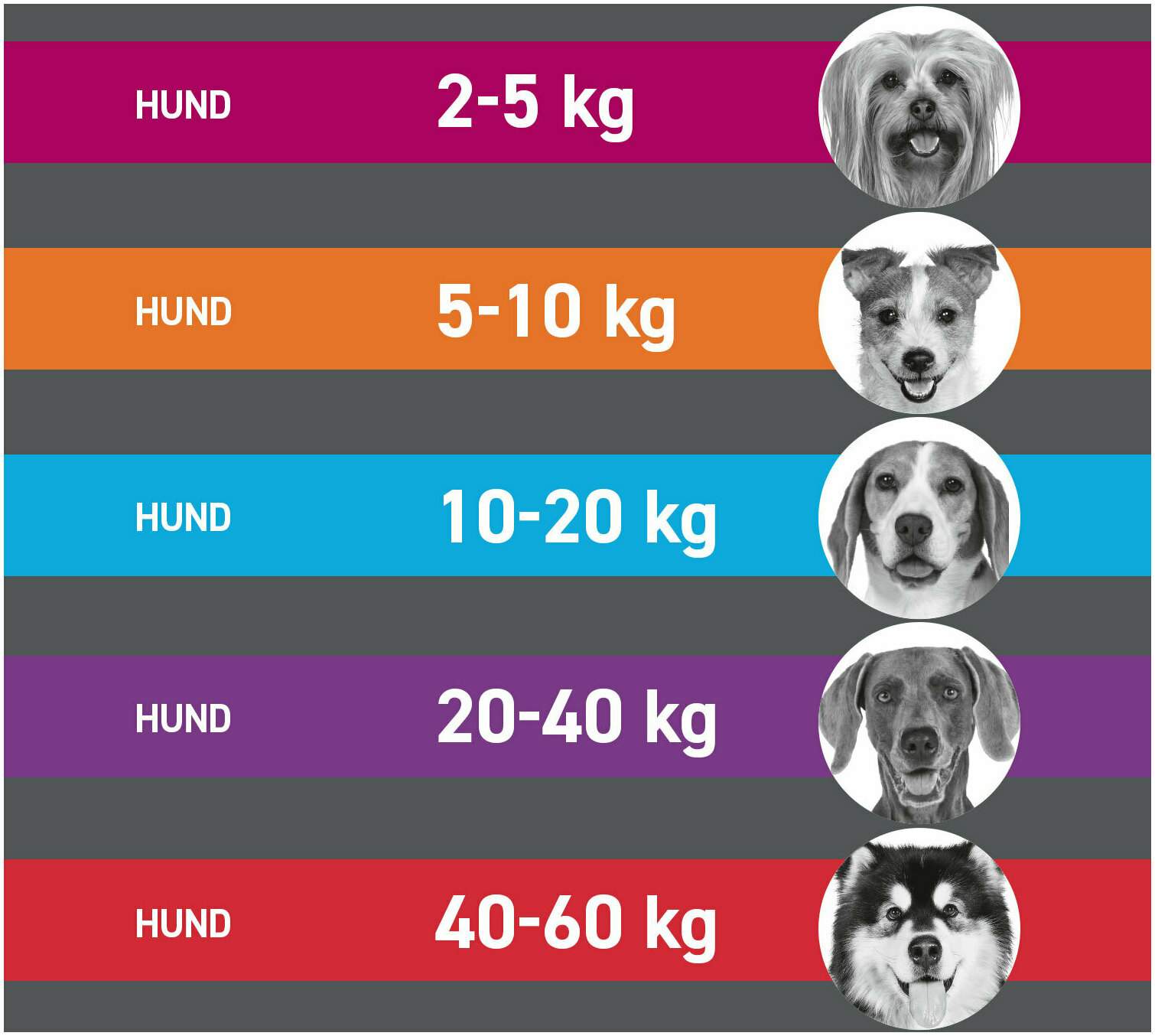 Frontline Tri-Act Hund 5-10 KG 6 Pipetten