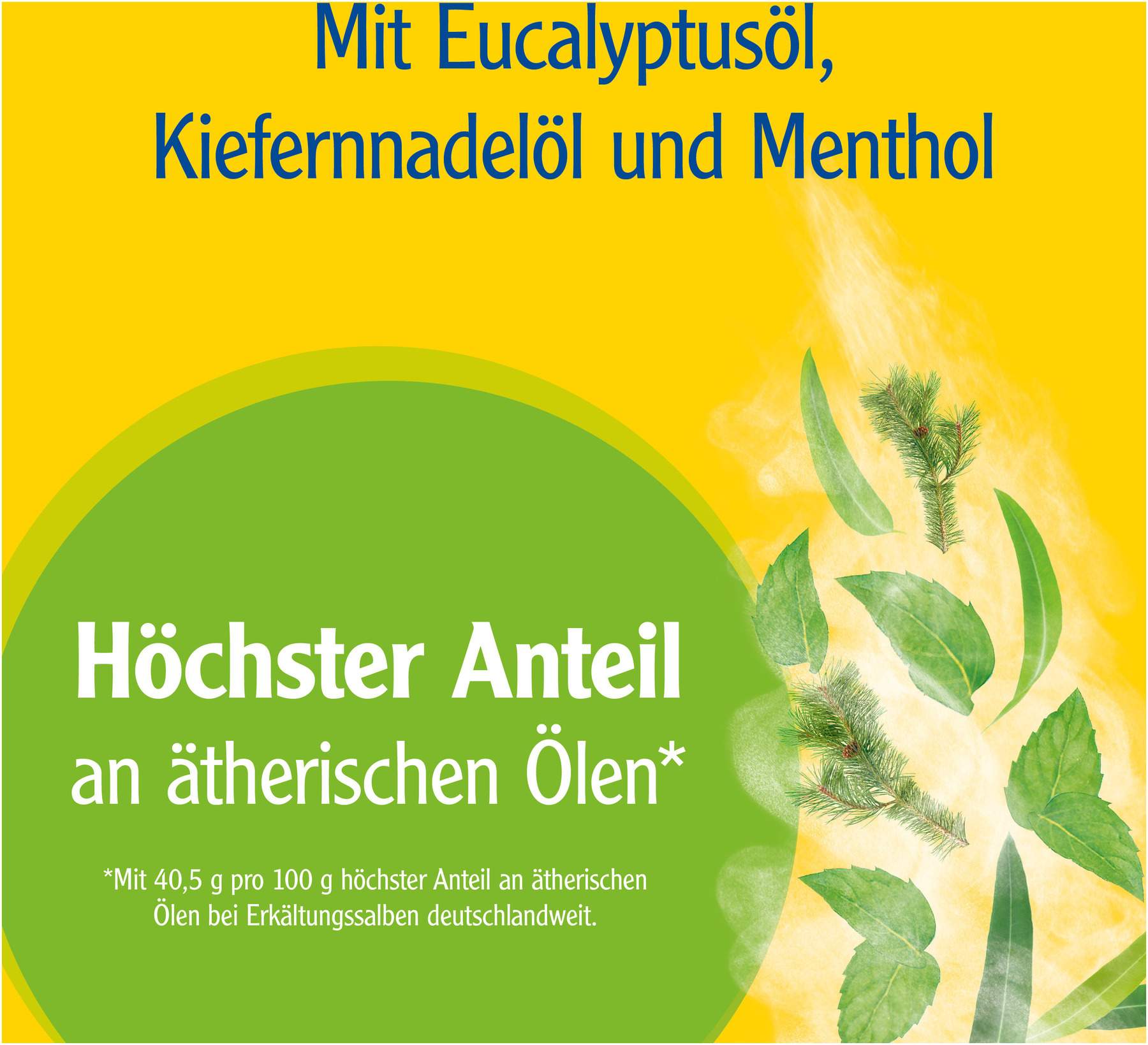 Pinimenthol Erkältungssalbe 50 g