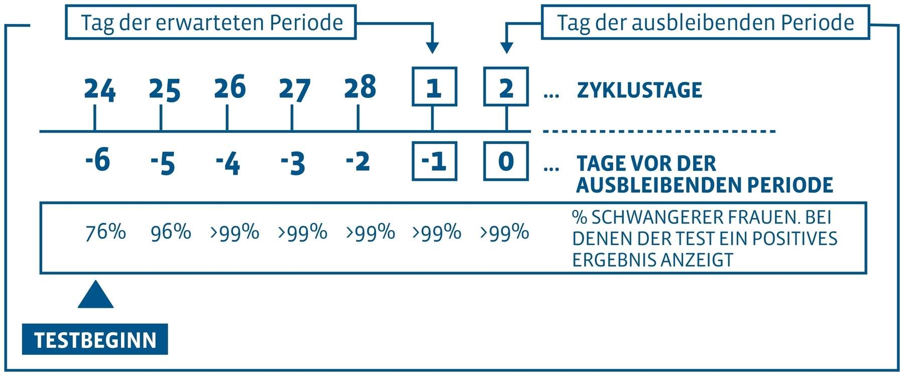 Femtest Frühtest 1 Stück