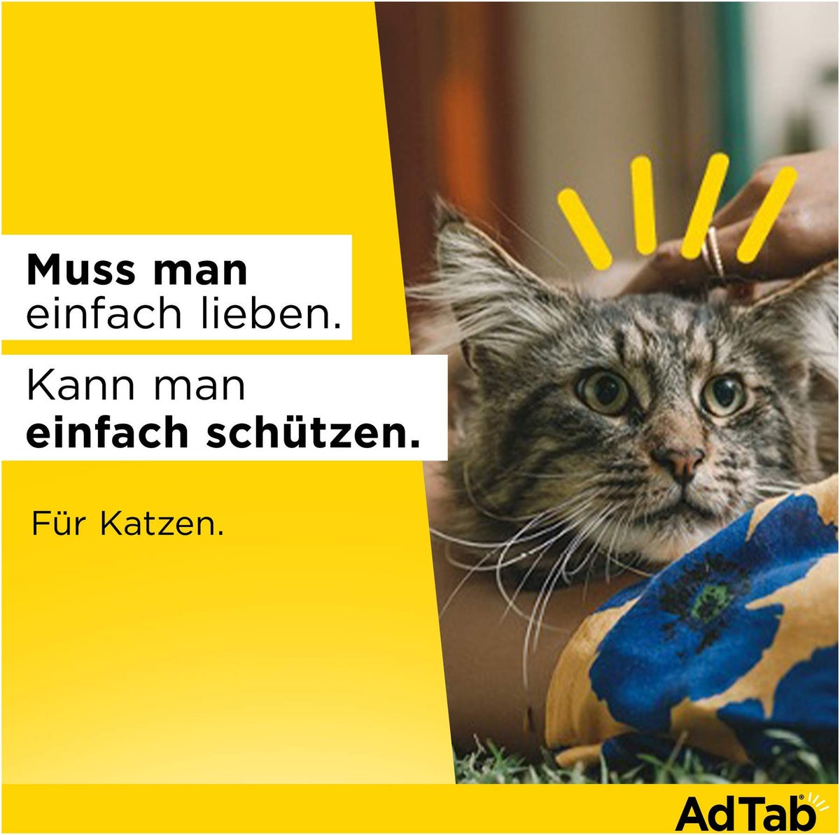 AdTab 48 mg für Katzen (2-8 kg) 3 Kautabletten