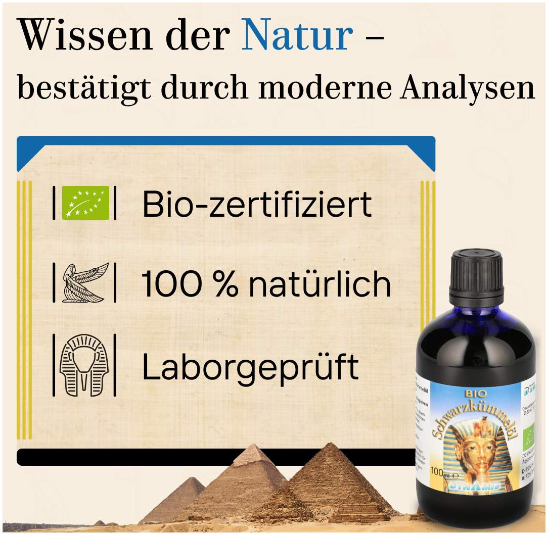 Schwarzkümmel Bio Ägypt.Öl 100 ml