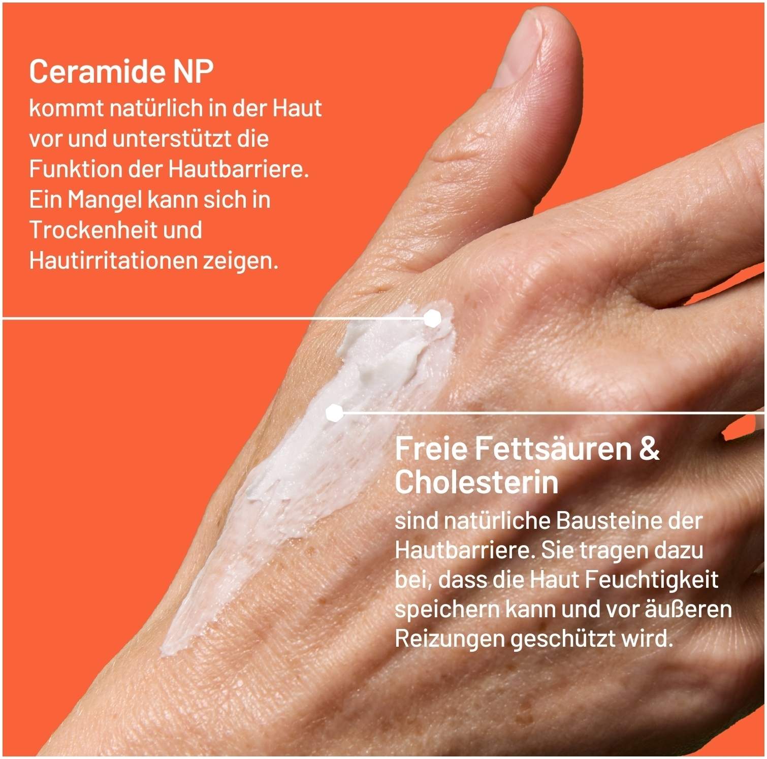 Locobase Repair Creme 100 g