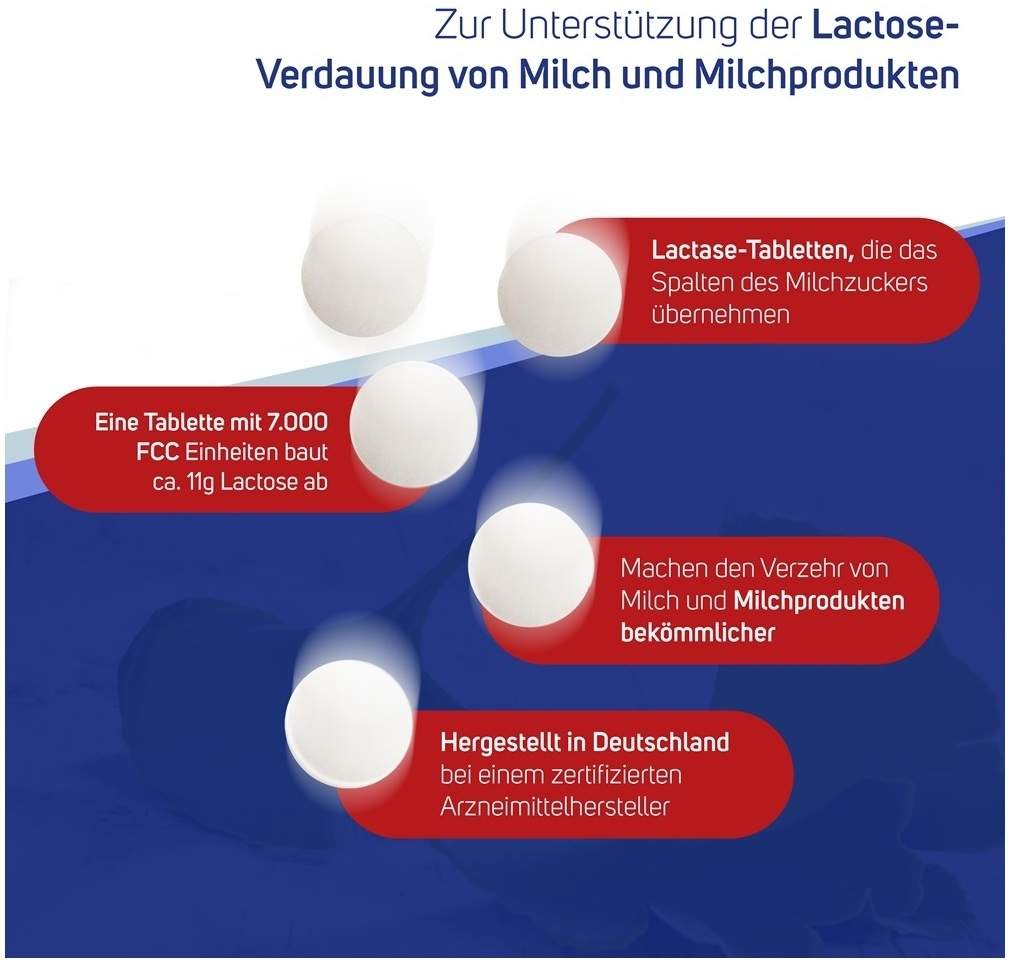 LACTASE 7.000 FCC im Spender 80 Tabletten