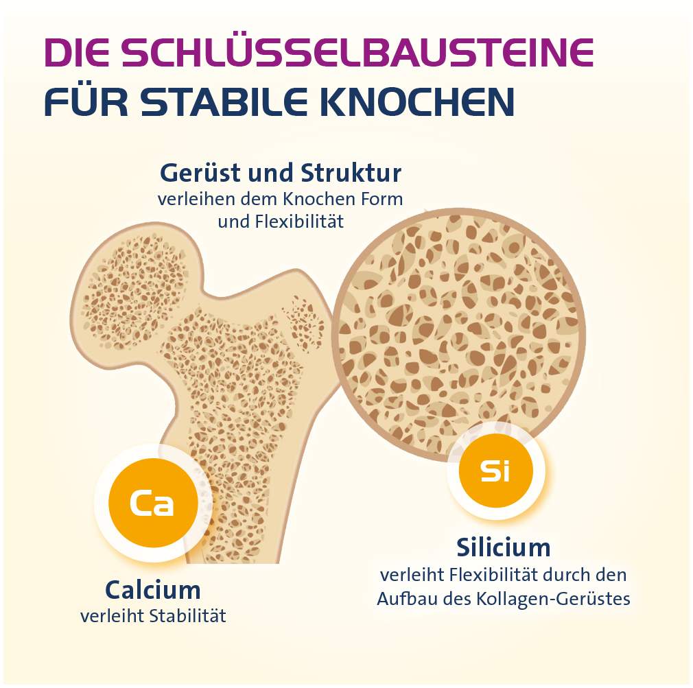 Vitamin D3 Hevert Osteo Pro 60 Filmtabletten