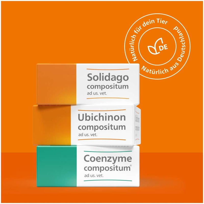 Coenzyme Compositum Ad Us.Vet. 100 Ampullen