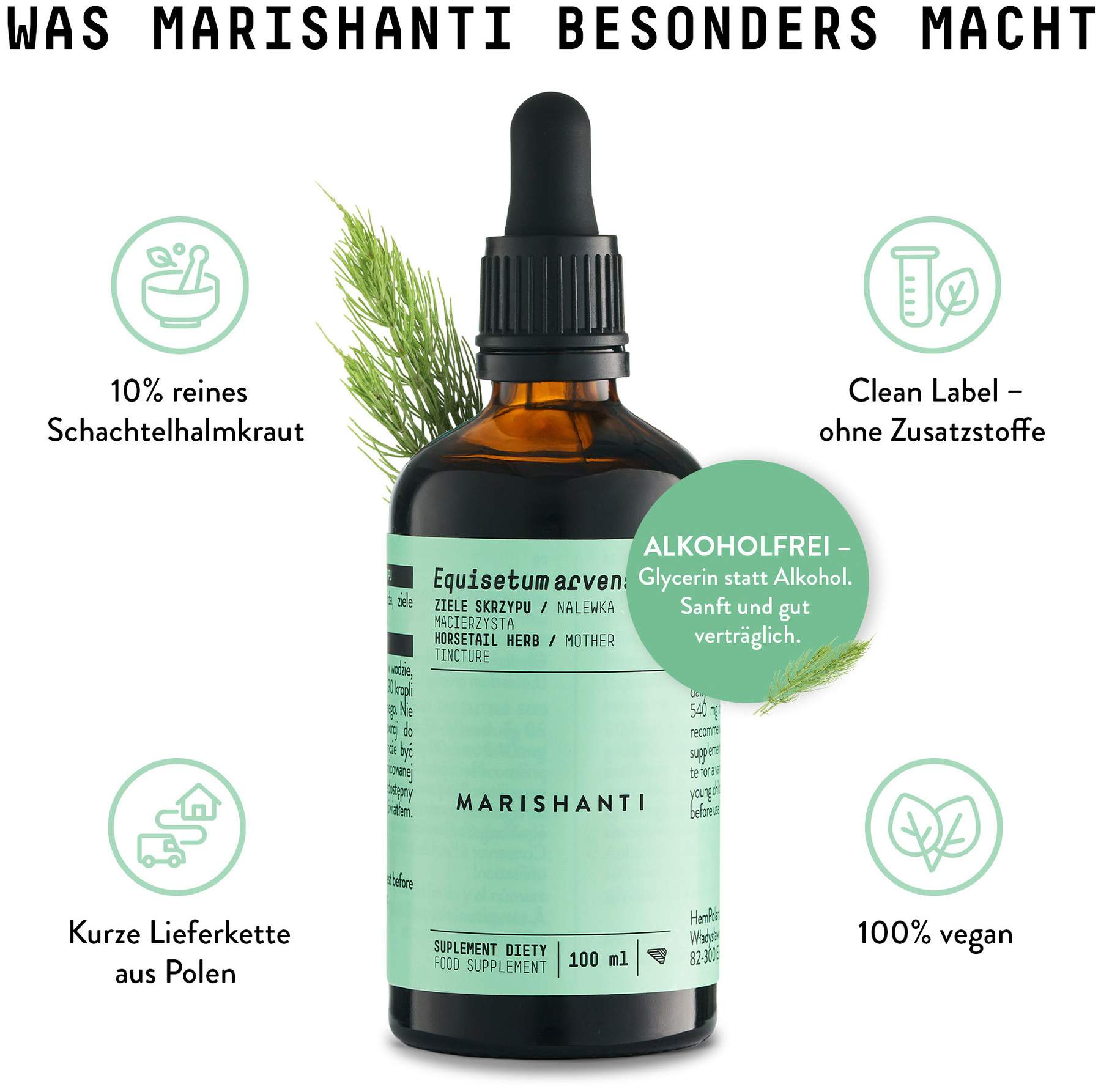 Schachtelhalm Extrakt Kräuter Tropfen alkoholfrei 100 ml