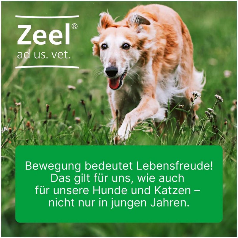 Zeel ad us. vet. 100 Tabletten