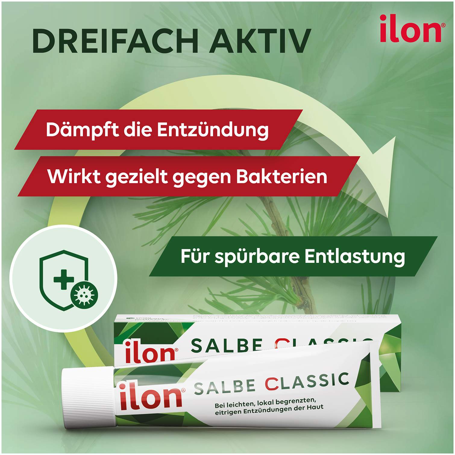Ilon Salbe classic 100 g