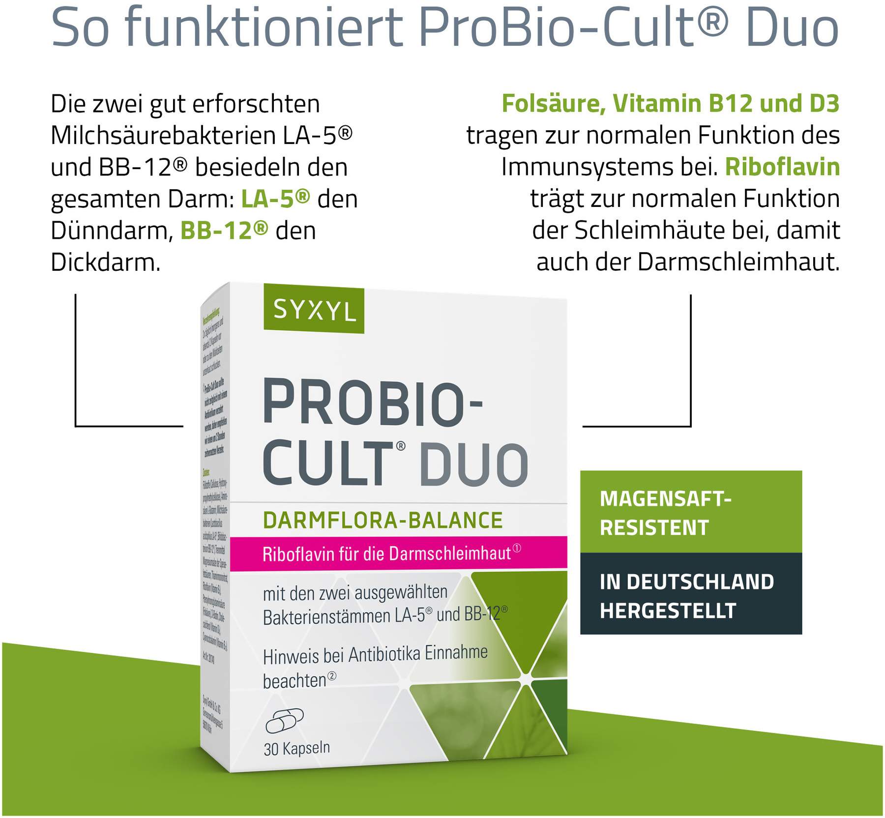 Probio Cult Duo Syxyl 30 Kapseln