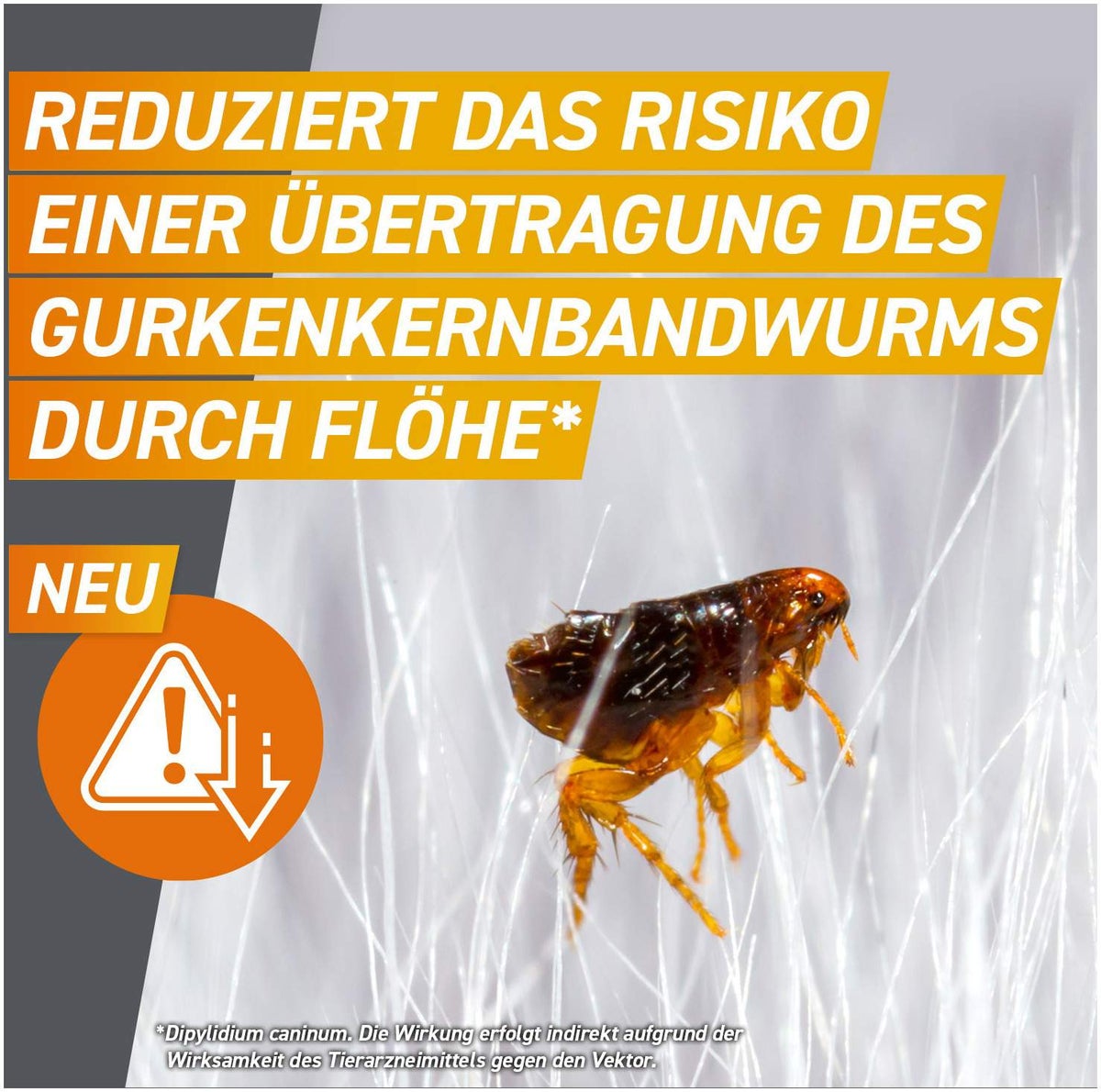 Frontpro 136 mg für Hunde 25-50 kg 3 Kautabletten