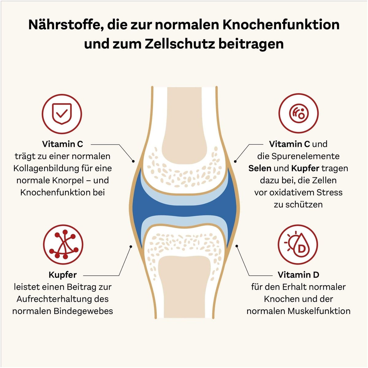 Doppelherz system Kollagen 11.000 Plus System 30 x 25 ml Ampullen