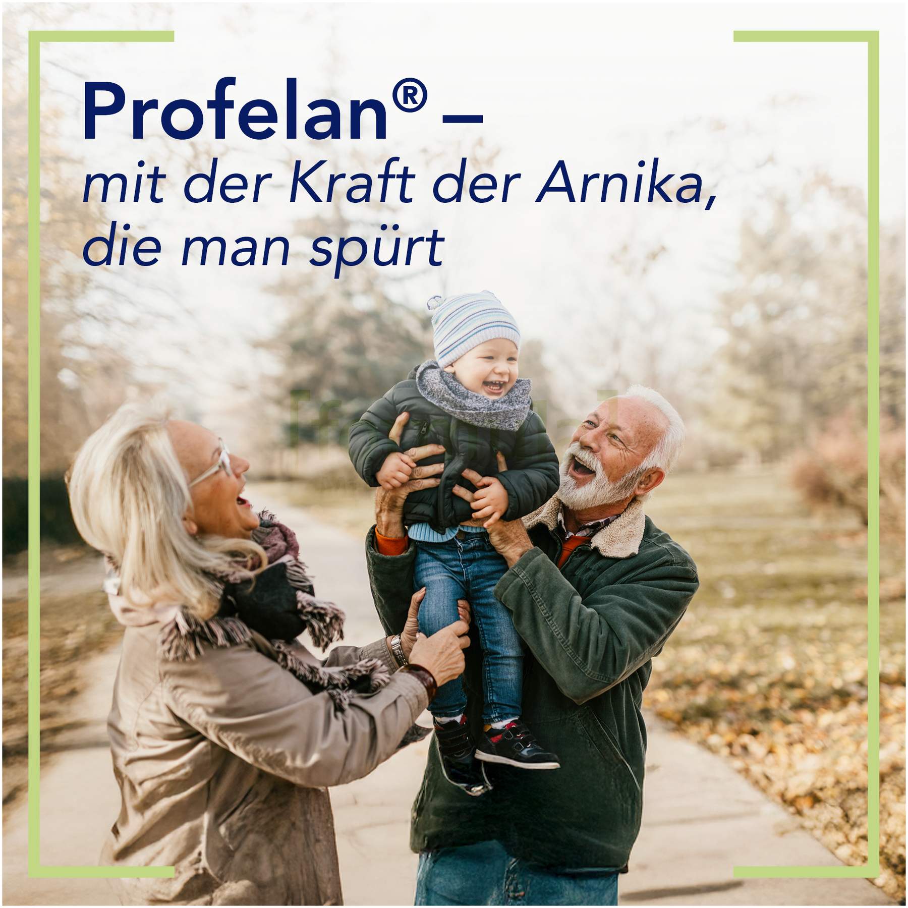 Profelan Salbe nach Müller-Wohlfahrt 100 g