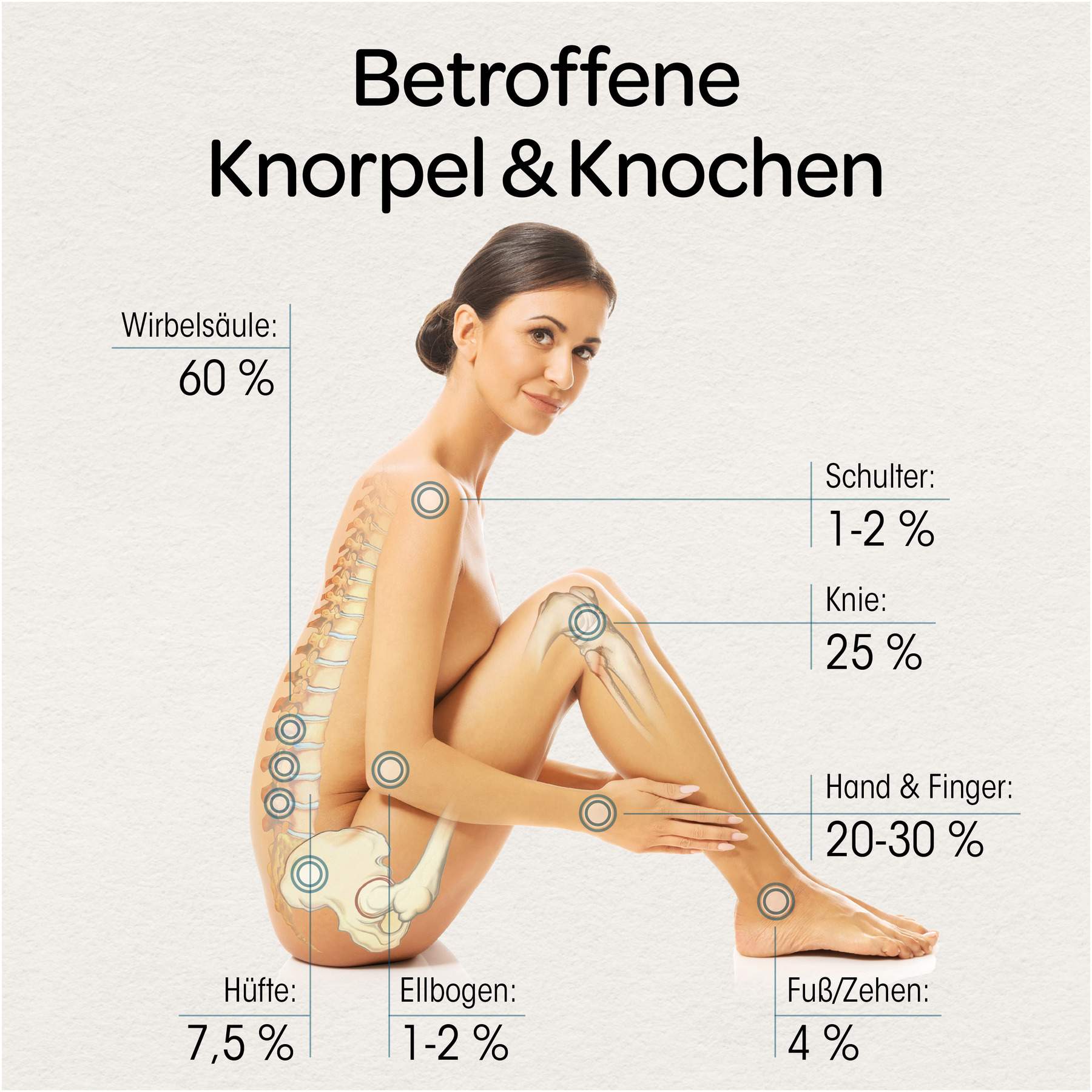 Dr.Böhm Knorpel & Knochen 120 Tabletten