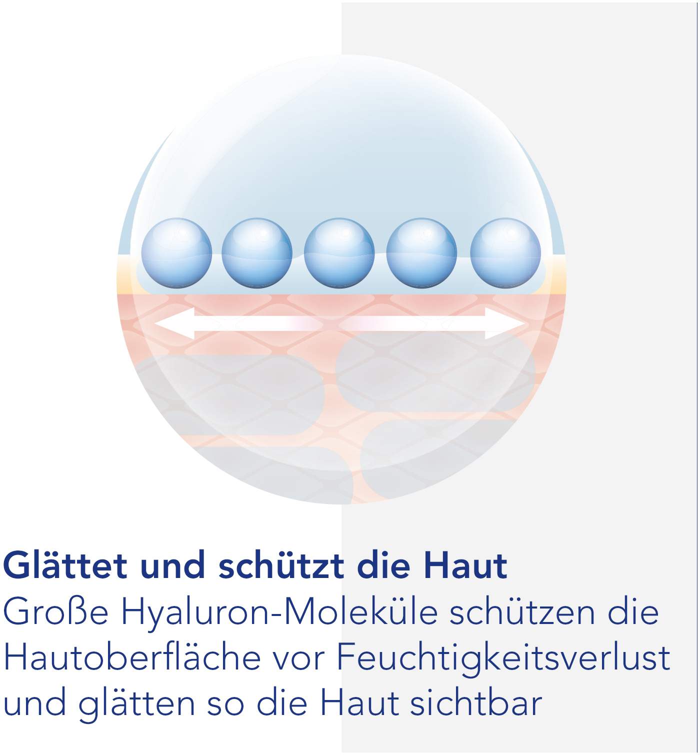 Viscontour Nachtcreme Mit Hyaluron 50 ml