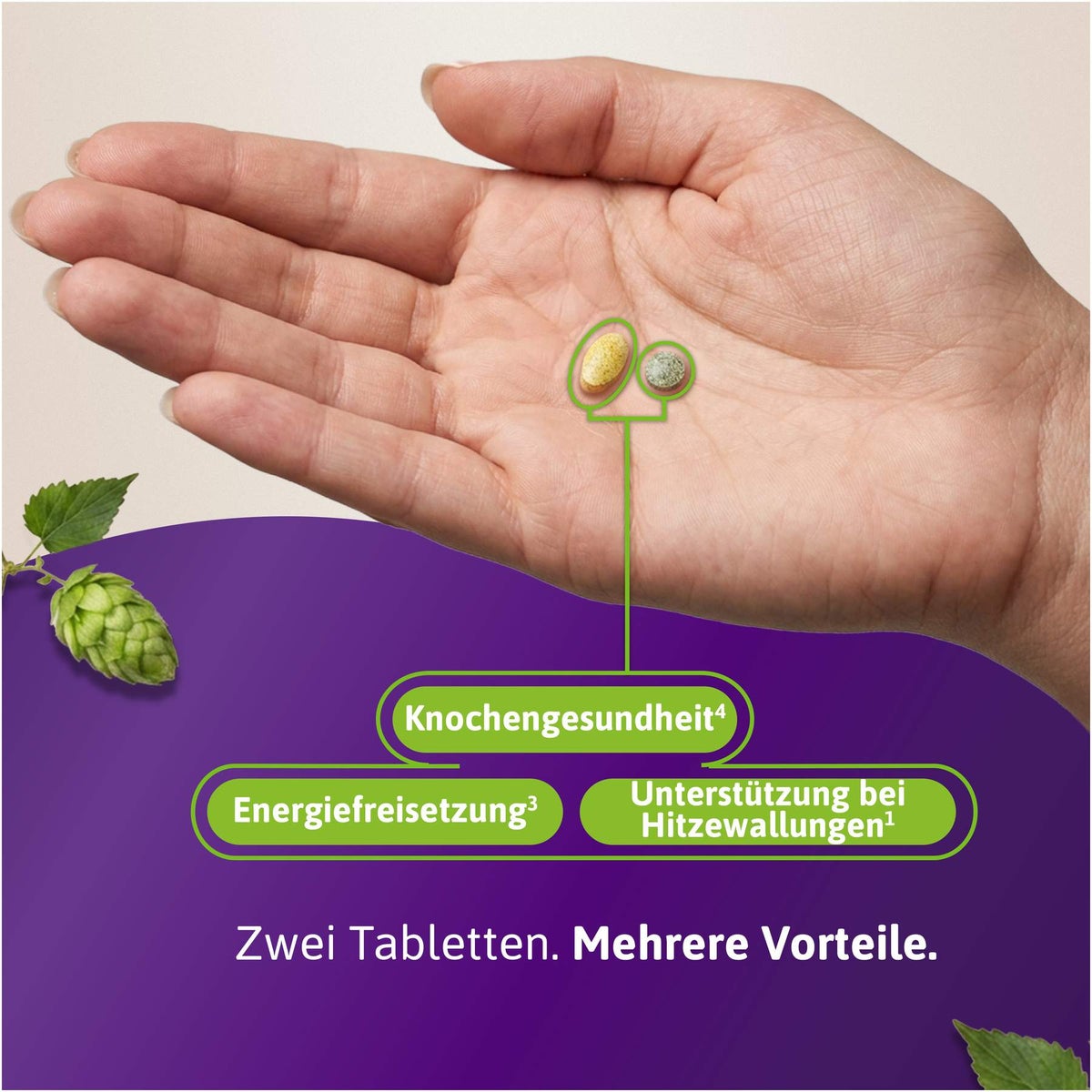 Femibion Menopause Plus 2 x 30 Tabletten