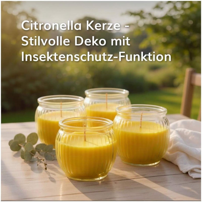 Citronella Kerze in Glas
