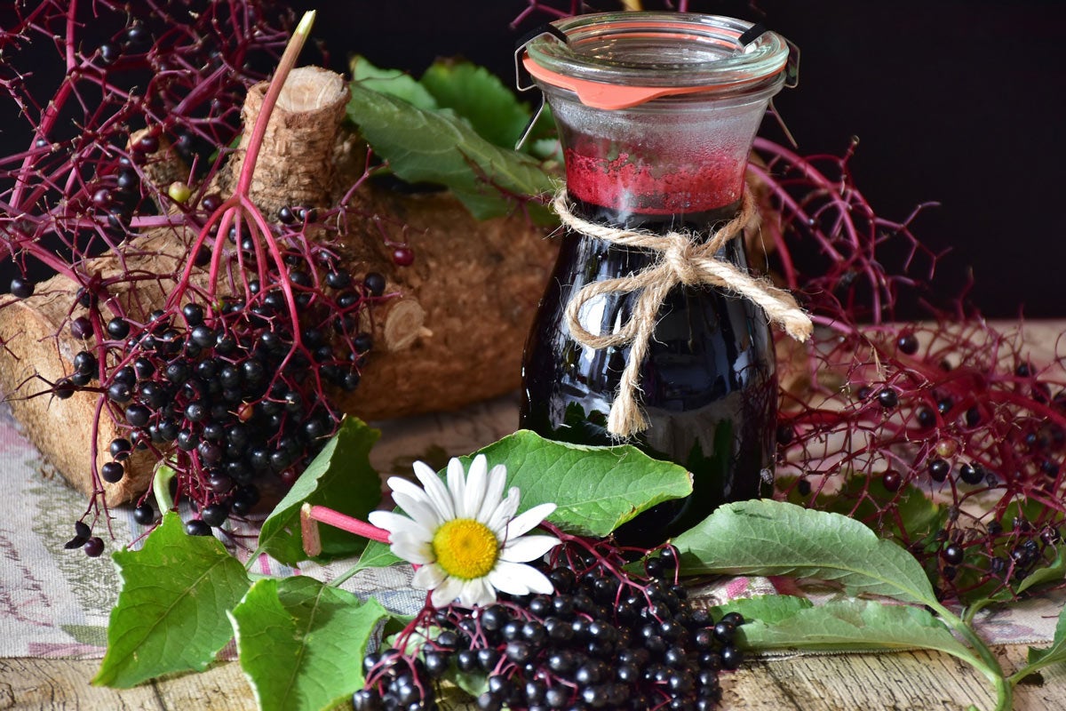 Holundersaft selber machen mit Rezepten