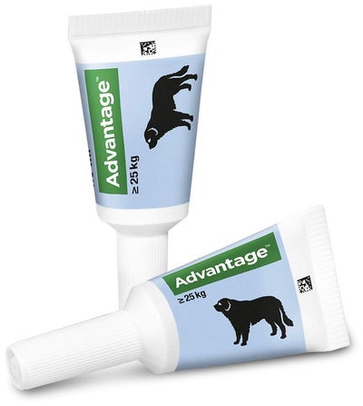 Advantage 400 Lösung Pipetten für Hunde ab 25 kg 4 Einzeldosispipetten