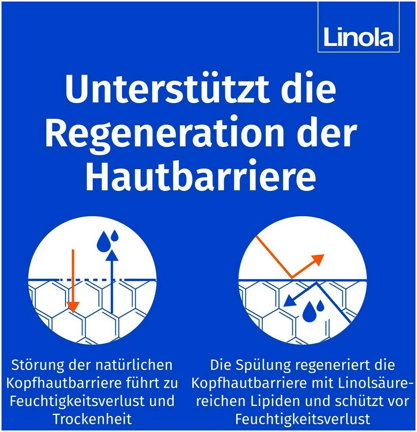 Linola Haar- und Kopfhautspülung 200 ml