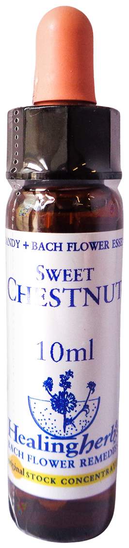 Bachblüten Sweet Chestnut Healing Herbs Tropfen 10