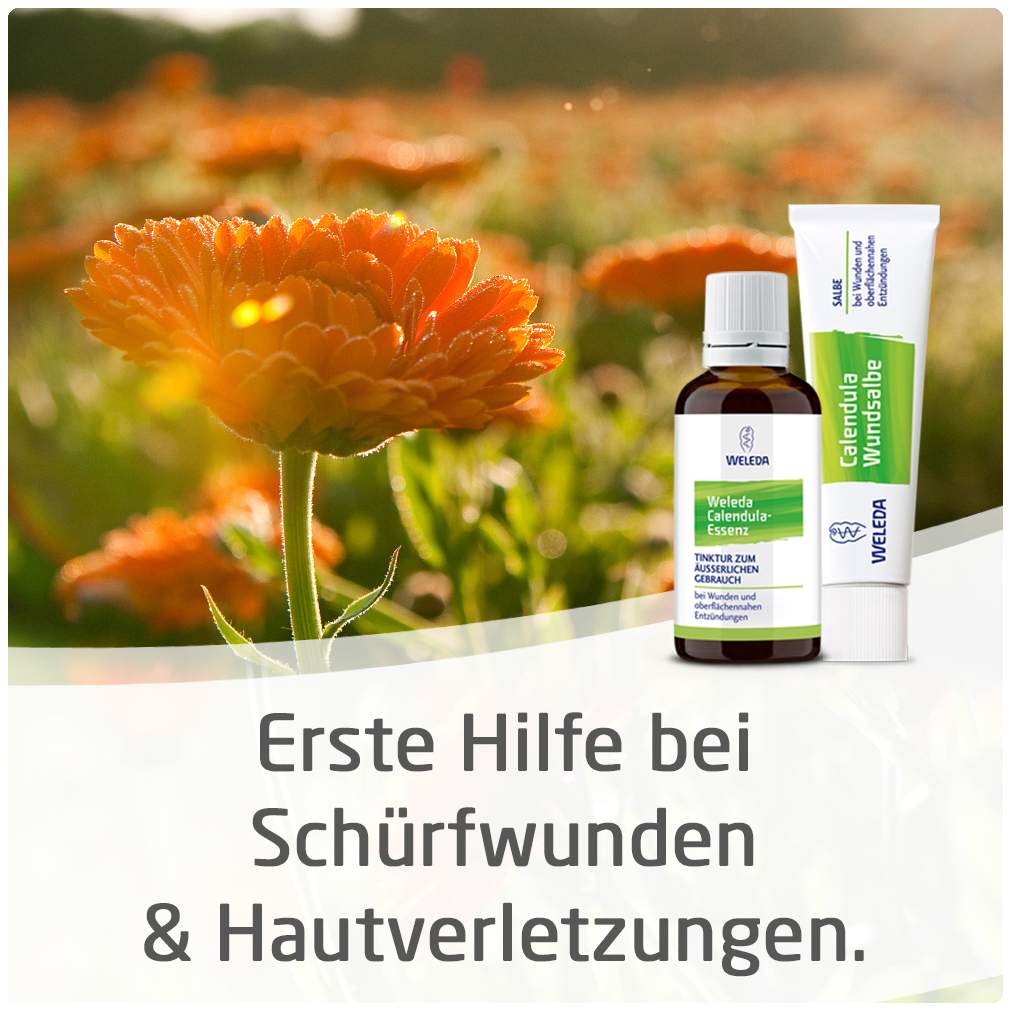 Weleda Calendula Wundsalbe 70 g