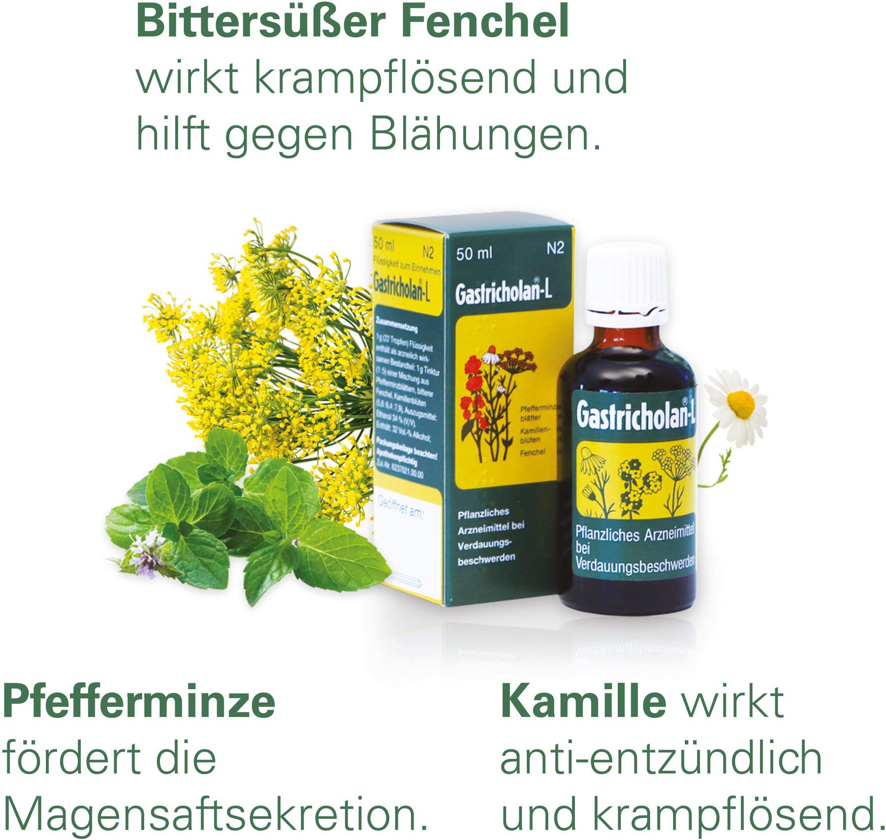 Gastricholan L Flüssig 2 X 50 ml Flüssigkeit