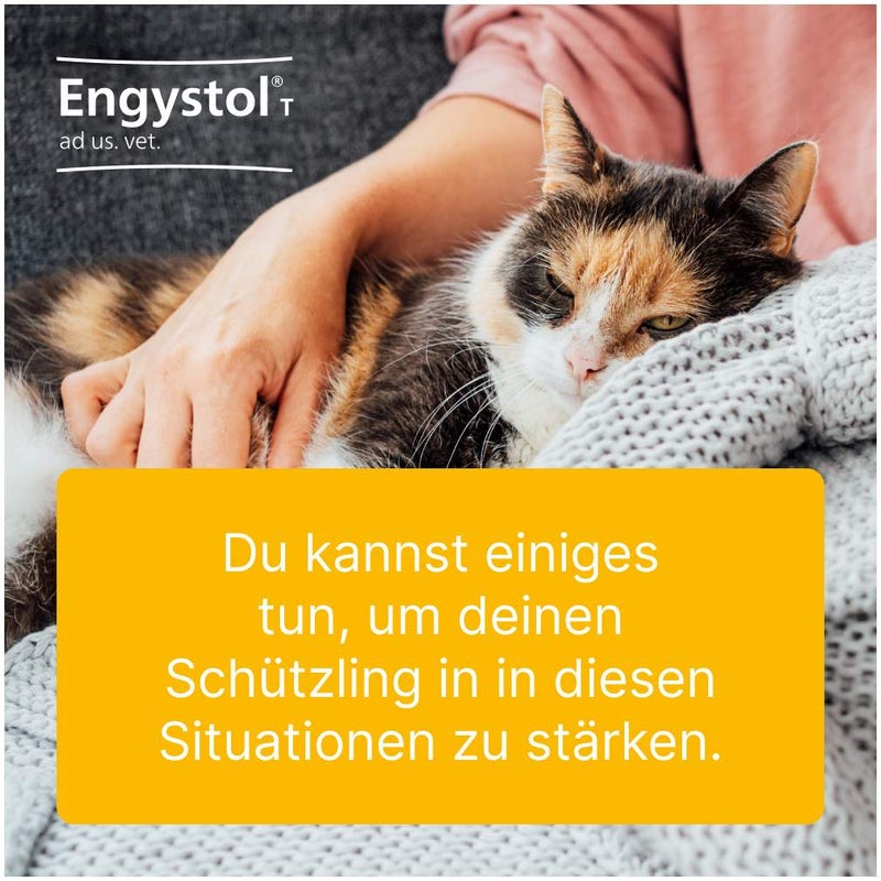Engystol T Ad Us. vet. 100 Tabletten