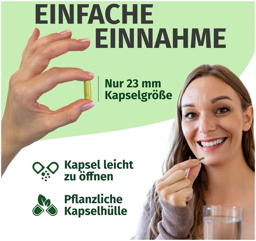 Green Naturals Quercetin 500 mg 180 Kapseln