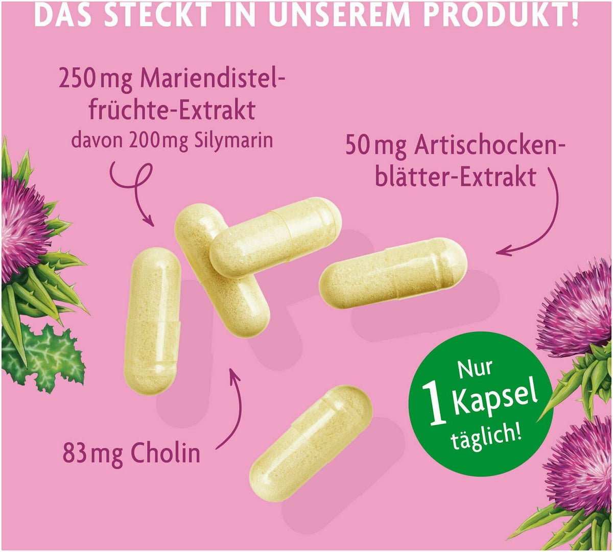 Salus Alepa Mariendistel 90 Kapseln