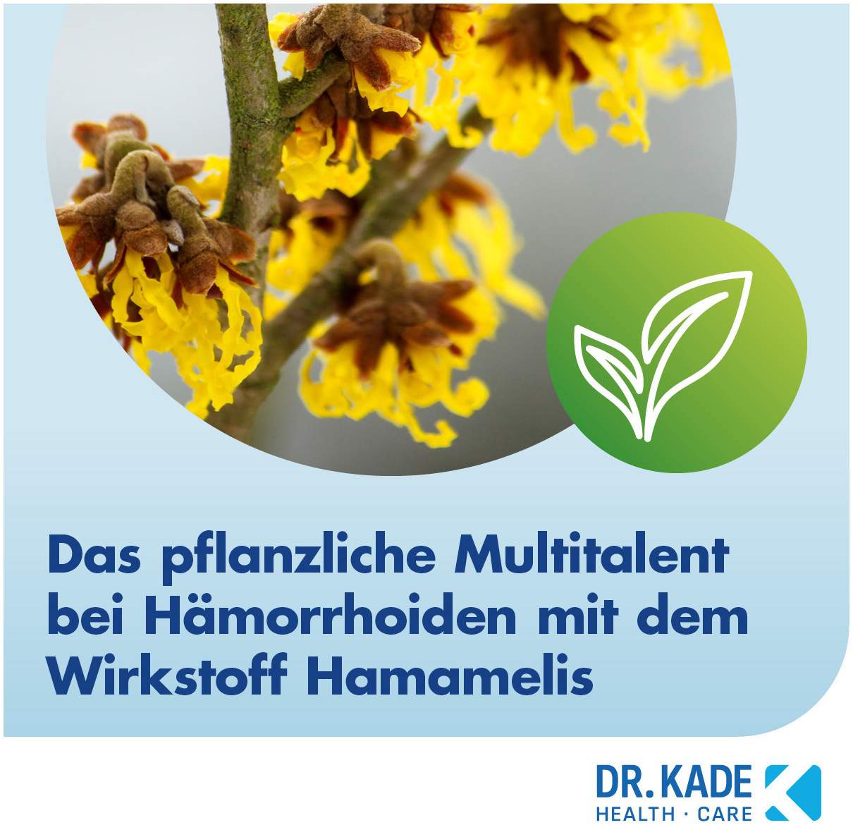 Faktu lind Hämorrhoidensalbe 25 g