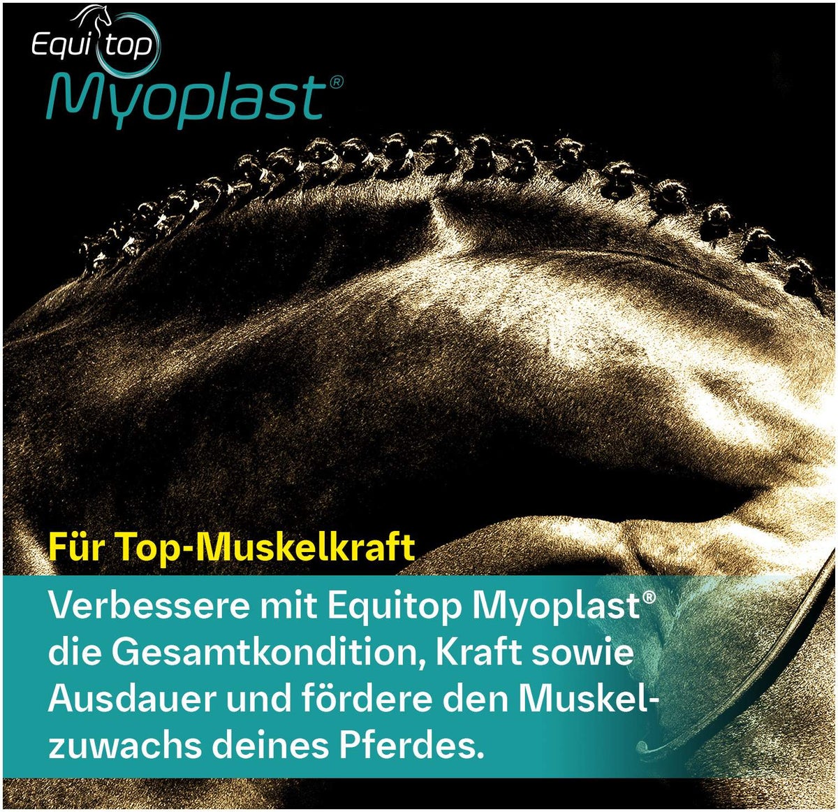Equitop Myoplast 1,5 kg Granulat