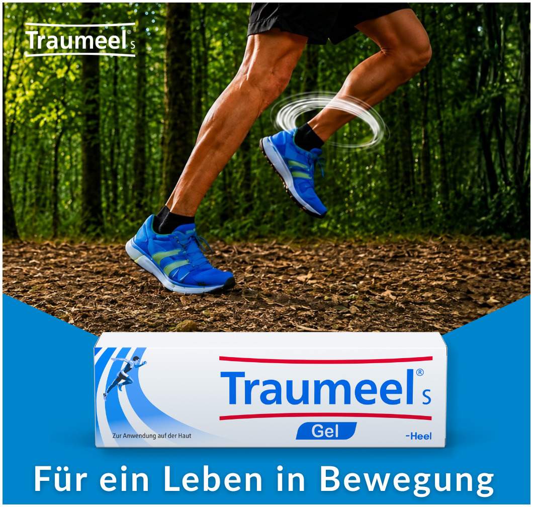 Traumeel S Gel 100g